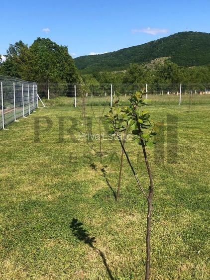 Teren intravilan casa de vacanță, 800, 2 fs, Surduc - 3