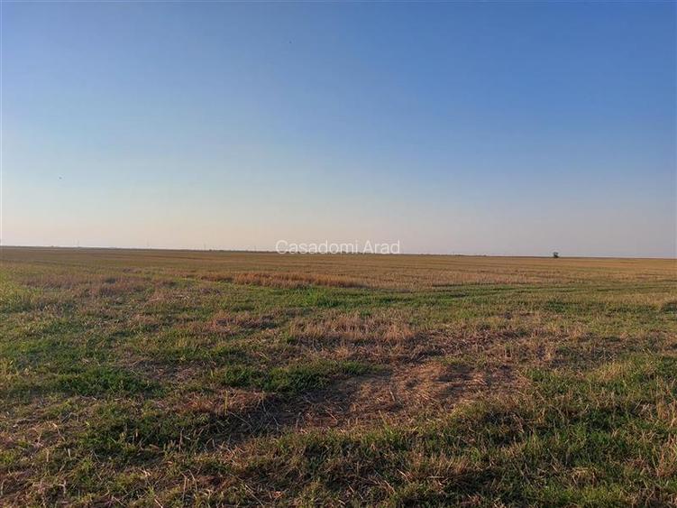 Teren 50 ha compact, pentru balastiera sau parc fotovoltaic, zona Horia - 5