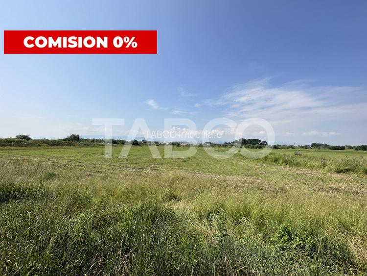 Teren intravilan 6000 mp deschidere 24,5 m utilitati in zona - 2