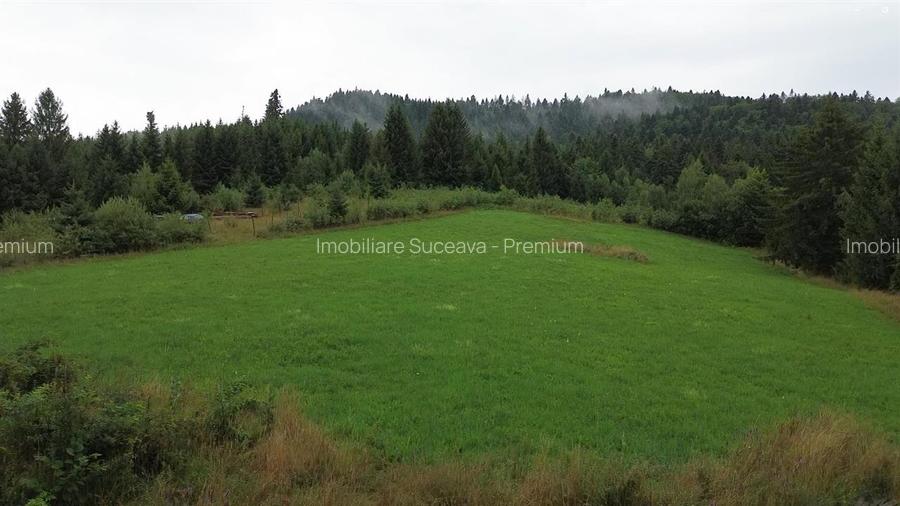 Teren 5023 mp  In Bucovina Zona Manastirea Voronet De Vanzare 0727817187 - 6