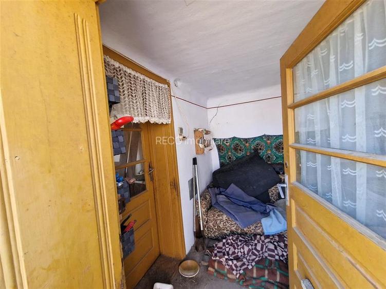 Teren mare cu 2 case in Sabolciu, com. Sacadat - 11