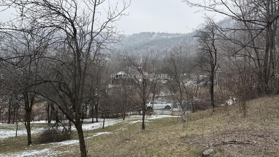 Teren 4652 mp cu izvor pe el, Lunca Mare, lângă păstrăvăria Doftana - 12