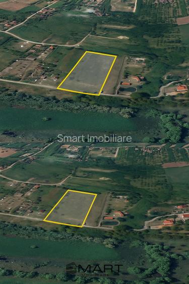 Teren 8000mp Daia noua - 5