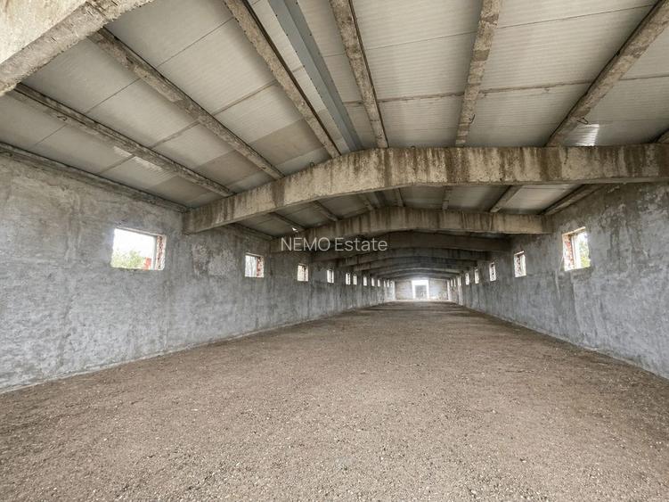 Hala Industrială / Agricolă | 800 MP Construcție + 800 MP Teren | - 4