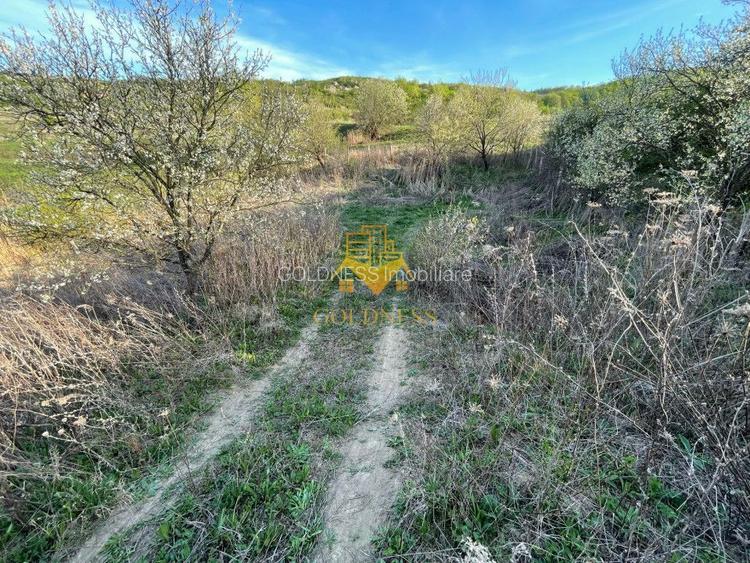 Tren Soporului Intravilan ,5500 MP Utilitati,  Oportunitate - 10