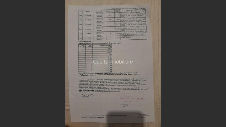 Spatiu industrial de vanzare, 8120 mp, Neamt - 5