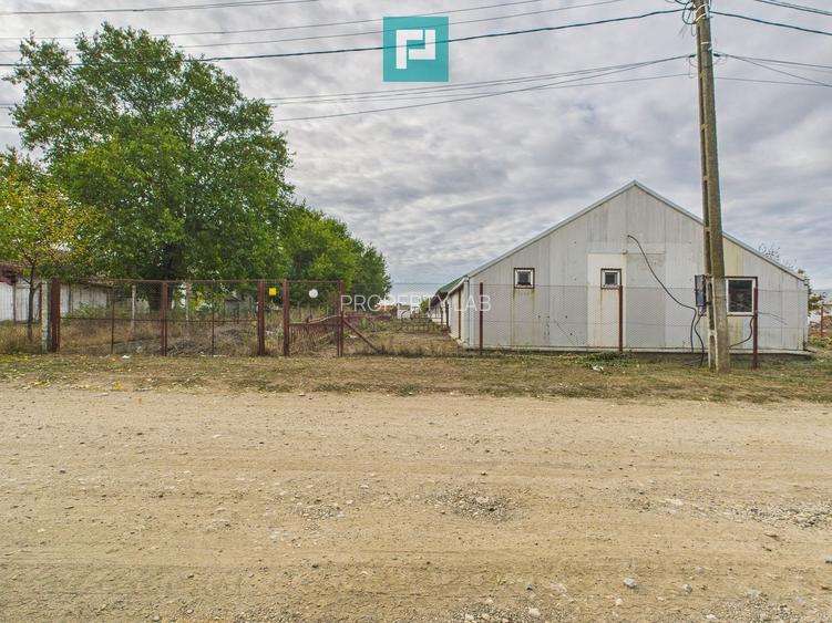 Hală pentru producție / fermă zootehnică  - Variaș - 19