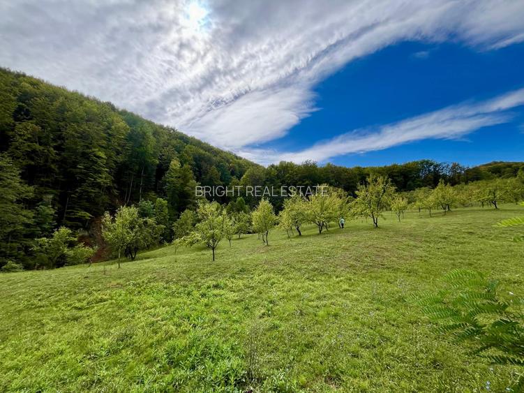 Teren 5.600 mp – Liniște, Natură și Verdeață | 10€/mp - Comision 0% - 8