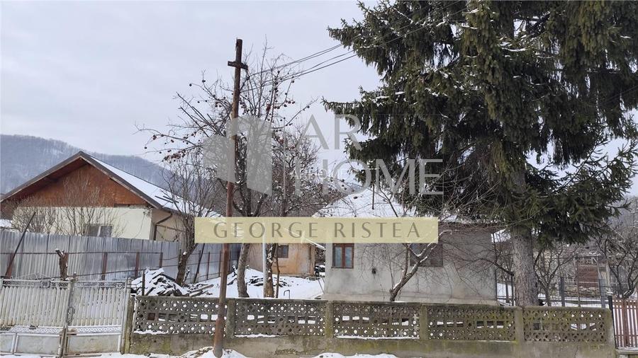 Teren 3310 mp + Casa Batraneasca Bobolia - 2