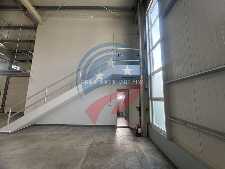 Hala in zona FORD 300-600 mp - 3