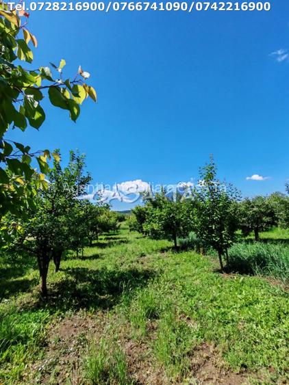 Casa situata in Samarinesti, sat Valea Bisericii - 9