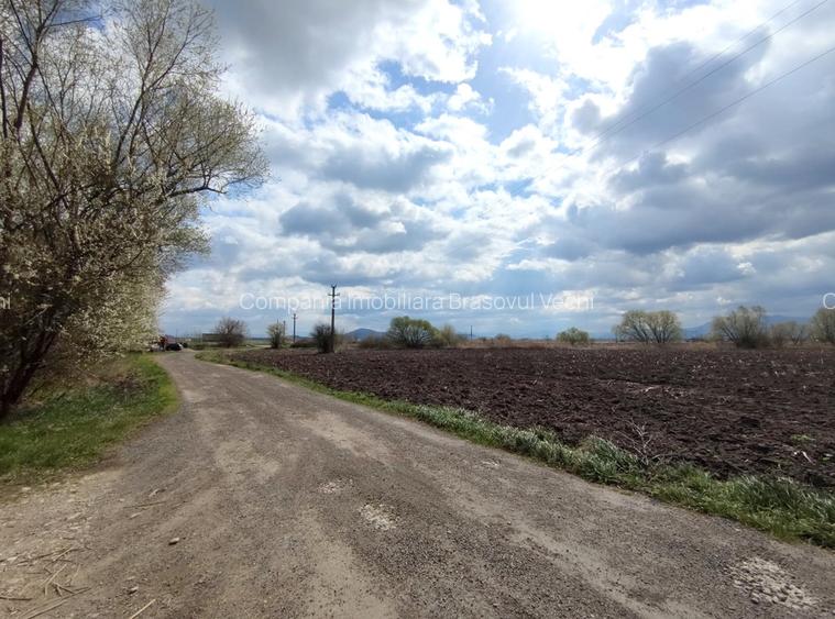 Teren intravilan cu potențial ridicat de dezvoltare, Brașov, Cartier Stupini. - 7