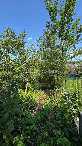 Casa renovabila cu teren - Cartier Gruia - 559 MP - 3