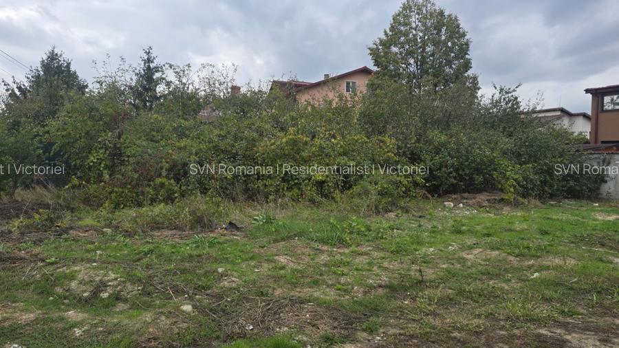 REL4001052 Teren de vanzare Domnesti - 3