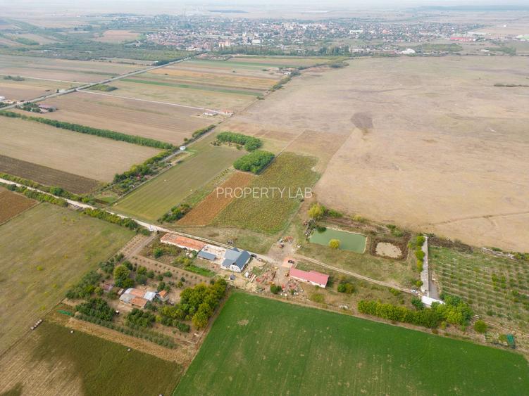 Teren intravilan cu iazuri și casă - Chișineu-Criș - 8