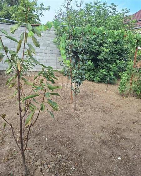 Apartament 1 camera-Centrala-Elisabetin-Curte - 5