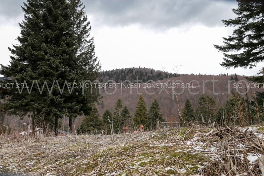 Busteni – Kalinderu, Teren Cu Vedere Senzationala Spre Muntii Bucegi! - 2