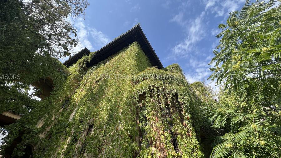 VILA INDIVIDUALA CISMIGIU | INTR. TEMISANA - 22