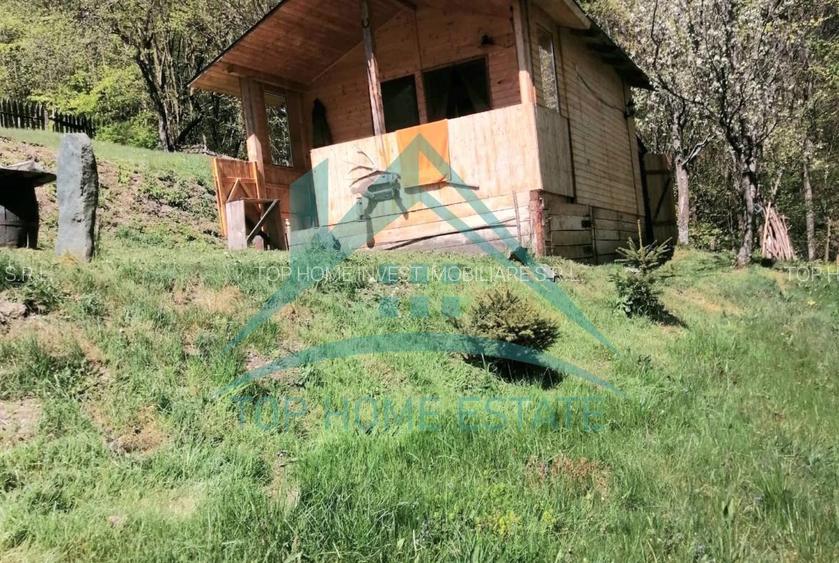 Cabana cocheta de vanzare cu teren generos 3000 mp, Baisoara! - 2