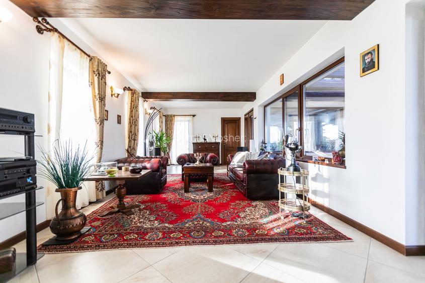 Refugiul Perfect de Lângă Timișoara - 7