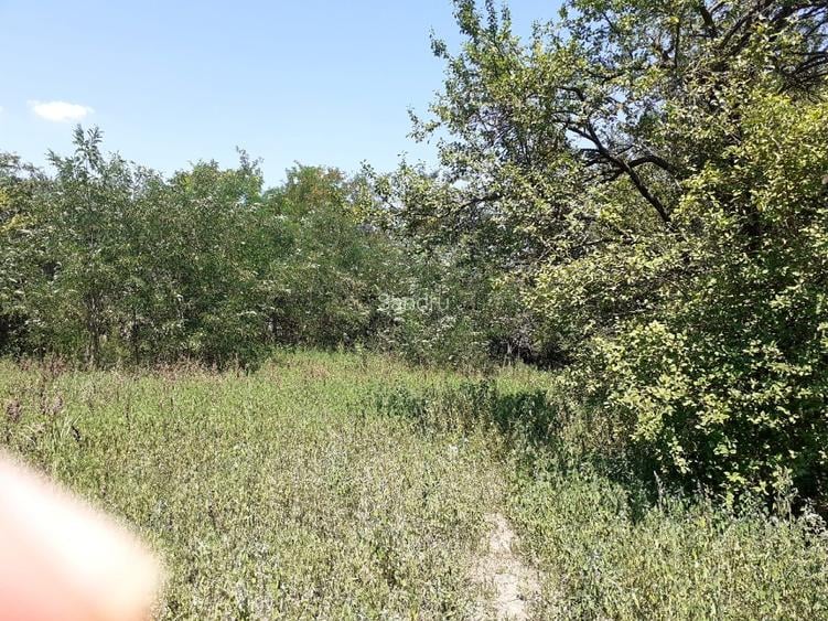 Vand teren parcelabil, pe malul lacului Mostistea, 2400mp, in Belciugatele - 4