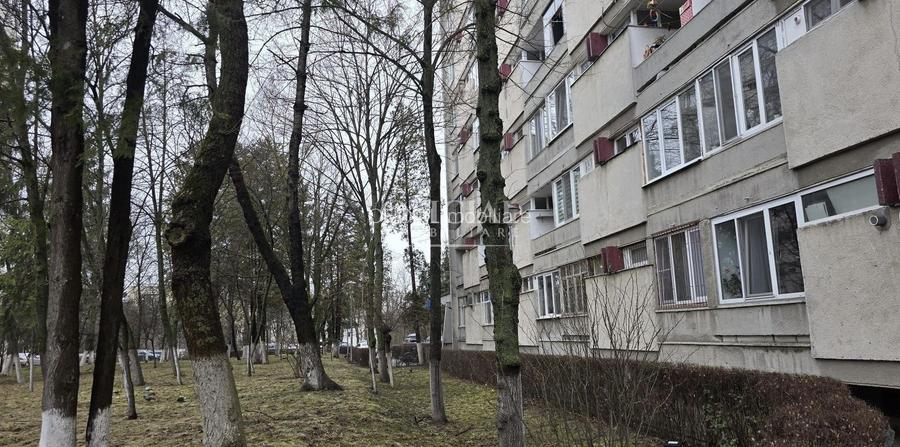 Apartament 1 Camera 28 Mp | Intermediar | Balcon | Gheorgheni Detunata - 3