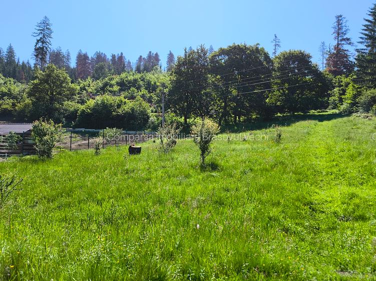 Teren intravilan în Cristian - Lunca Gării. - 4