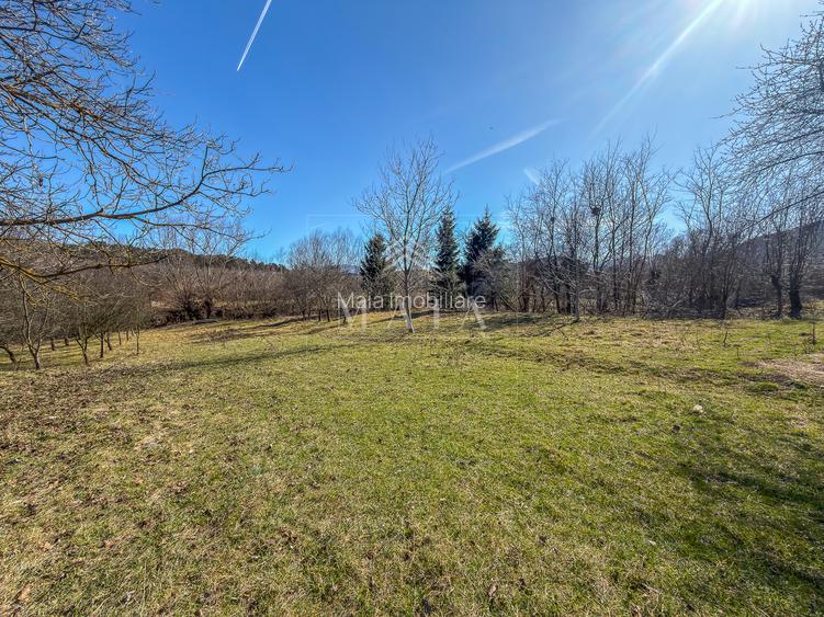 Teren intravilan, la 5 minute de cartierul Valea Aurie, 2388 mp - 5