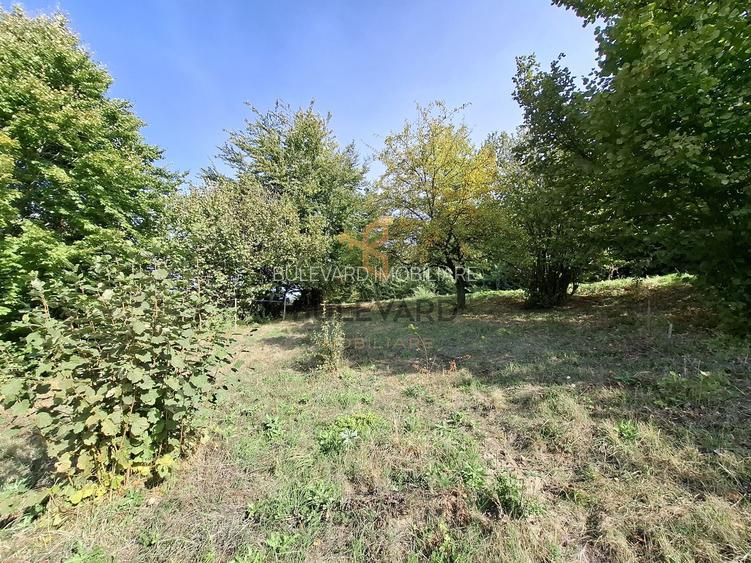 Comision 0. Teren cu autorizatie de construire in Salicea - 7