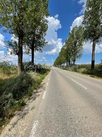 Teren 7.000mp, Miroslava - Liliac - 4