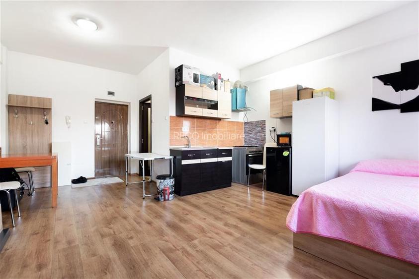 RECO APARTAMENT CU O CAMERA IN PALEU - 4