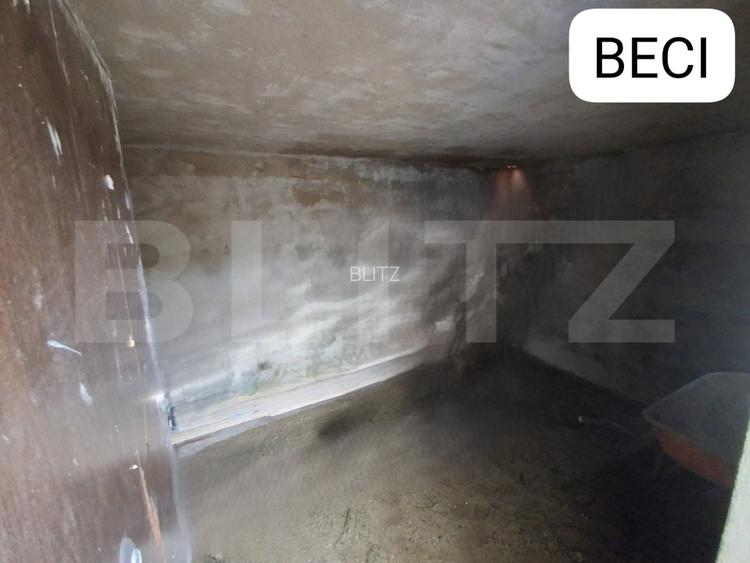Casa 3 camere, 86mp, 310 mp teren, cu terasa si beci, Visani - 15