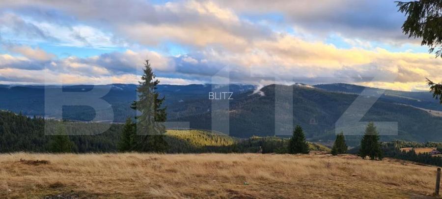 Cabana cocheta din lemn in Belis – 3 camere, ideala pentru vacanta sau investiti - 10