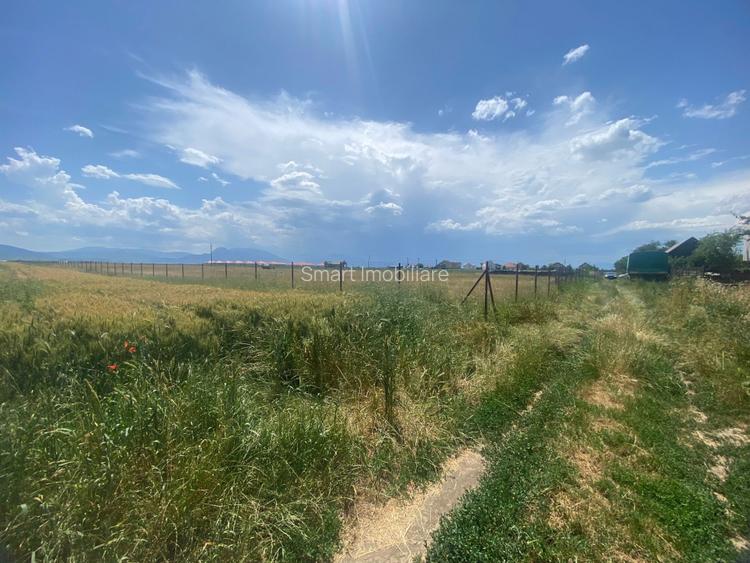 Teren  intravilan cu PUZ 30.000 mp Prejmer - 7