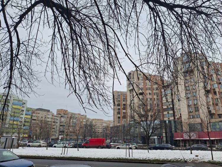 Spatiu comercial de vanzare 13 Septembrie/Panduri - 4