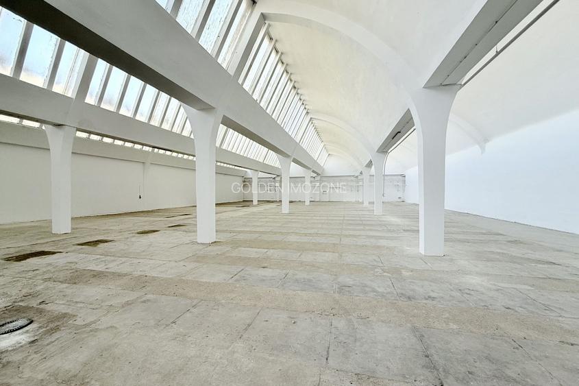 Hală industrială de producție/depozitare – Jilava, Str. Gării, 1797 mp - 8