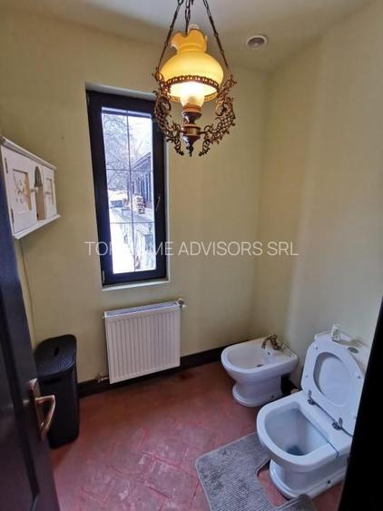 Casa de vacanta deosebita Breaza- Nistoresti - 20