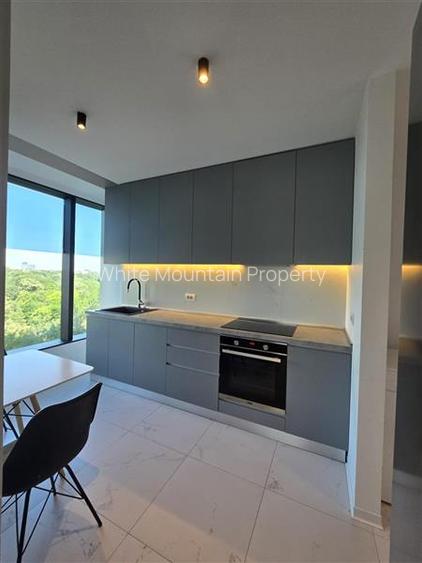 One Mircea Eliade, apartament 3 camere, inchiriere lunga durata - 12