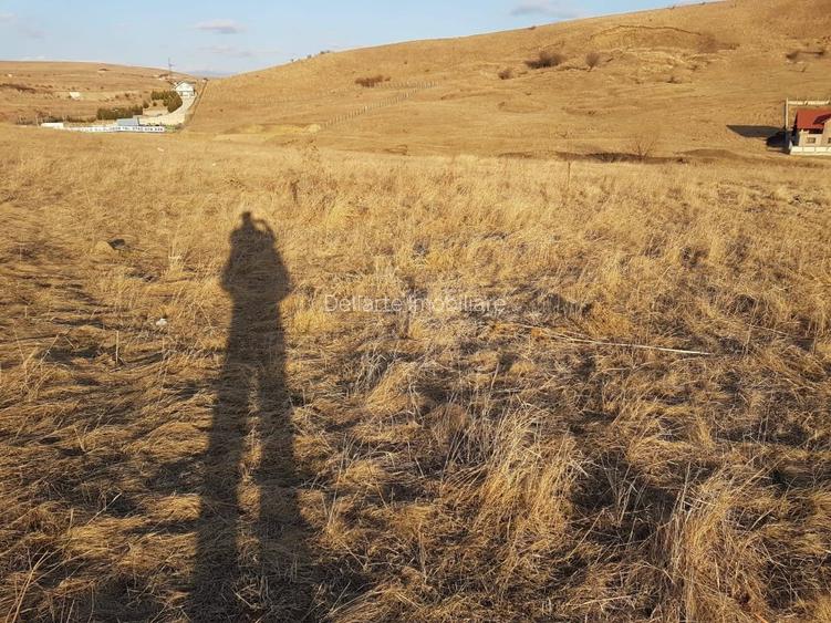 Teren intravilan 33000 mp, Piatra Neamt - 8