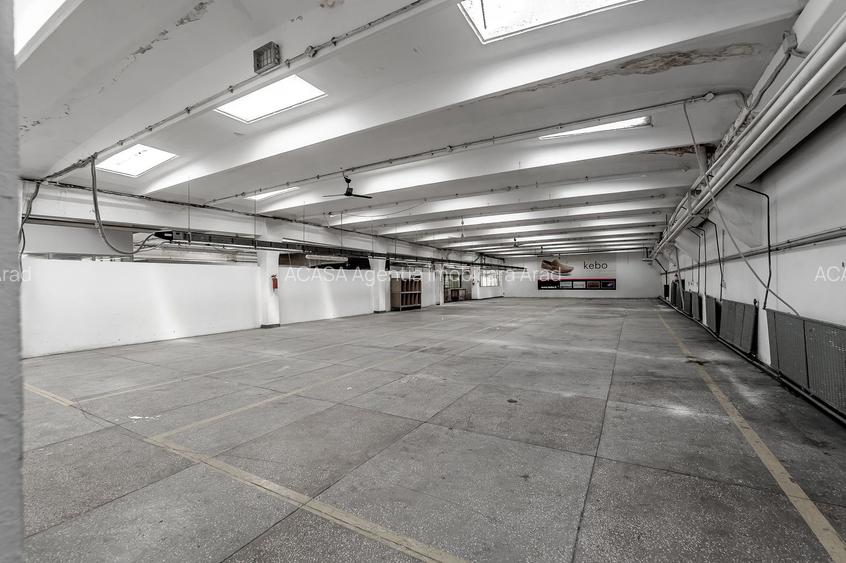 4.049 mp Hale industriale în Arad, aproape de A1 - 15