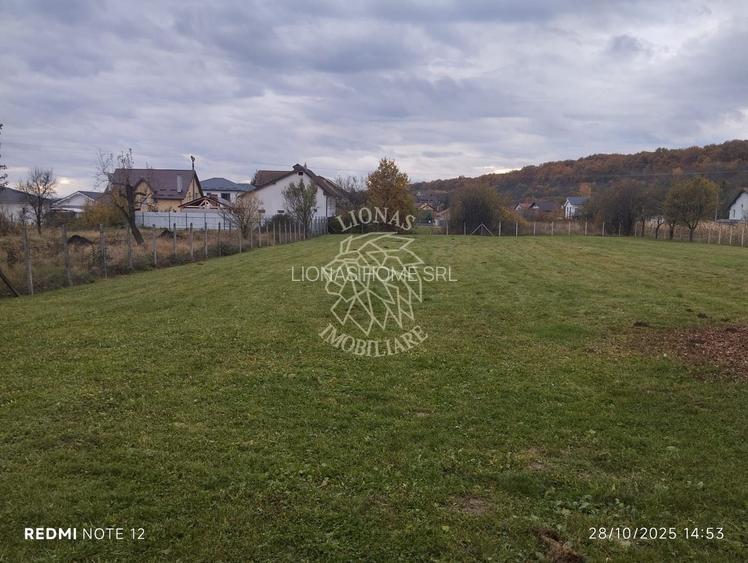 2 Case 120 mp si 370 mp-teren 3920 mp-Unirea - 16