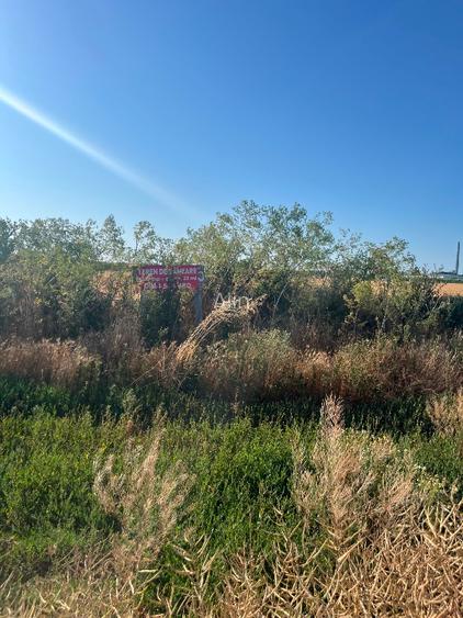 Teren Strada Tisei - Isaran Green ( Aurel Vlaicu ) - 3