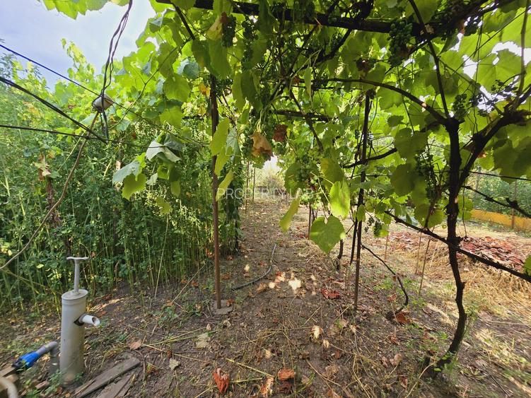 Teren intravilan 633mp in Gradiste - 3