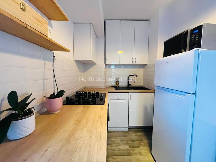 Apartament 3 Camere , Metrou Piata Victoriei - 8