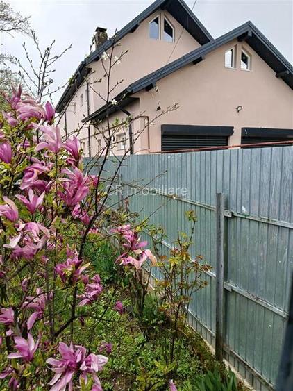 Vila in Izvorani - 13