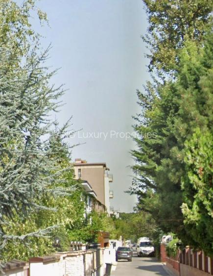 Teren in apropiere de Iancu Nicolae 3000 mp - 2