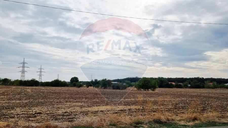 Vanzare Teren Balotesti / Strada Lacul Vlasia - 6