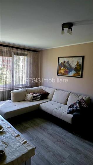 Apartament de inchiriat 2 camere Bulevardul Victoriei - Centrul Nou - 4