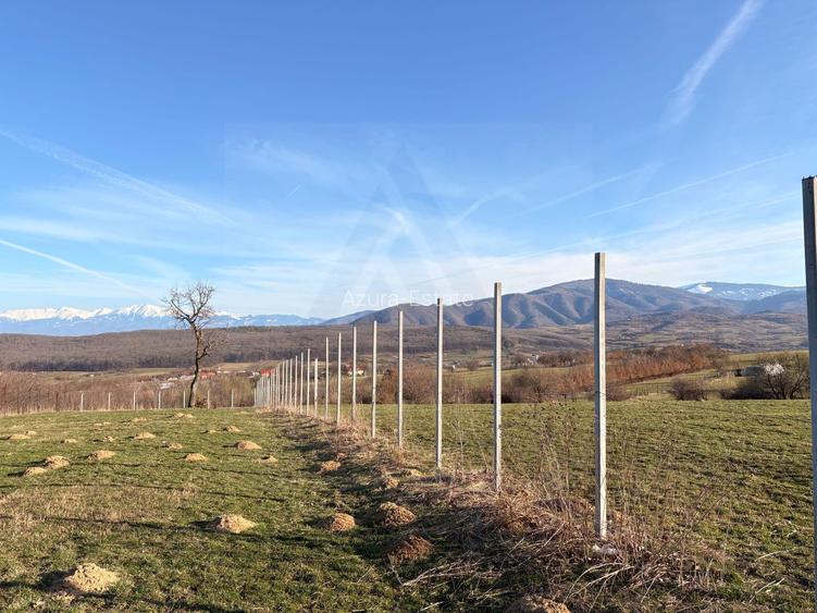 Teren intravilan 809 mp de vânzare – Tropinii Noi-Sibiu - 3