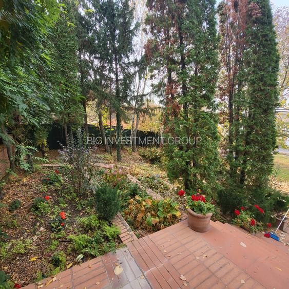 Vila lac snagov in cea mai buna portiune a lacului, ponton, garaj barca, piscina - 27